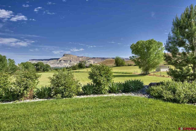 3575 E Rd, Palisade, CO 81526 - view of yard with a mountain view