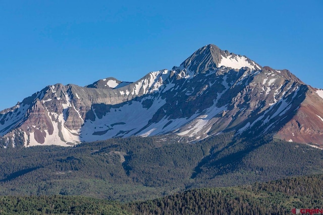 view of mountain feature with a wooded view