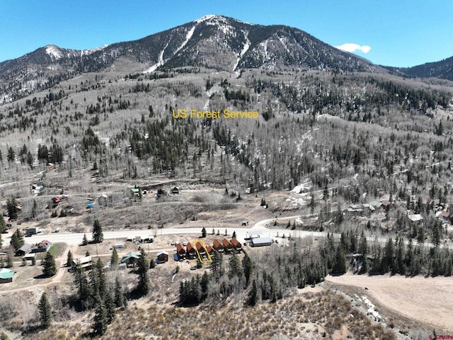 view of mountain feature