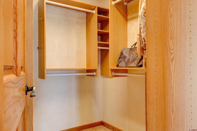 view of spacious closet