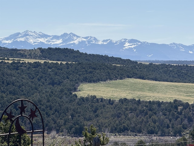 view of mountain feature with a forest view