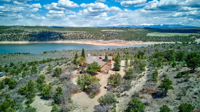 drone / aerial view with a water and mountain view