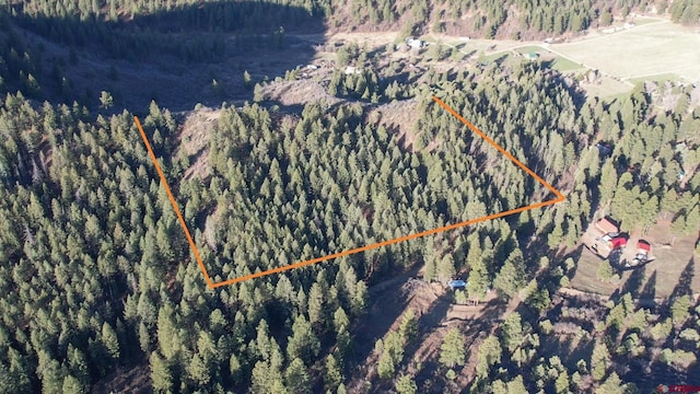 199 Gully Pl, Pagosa Springs, CO 81147