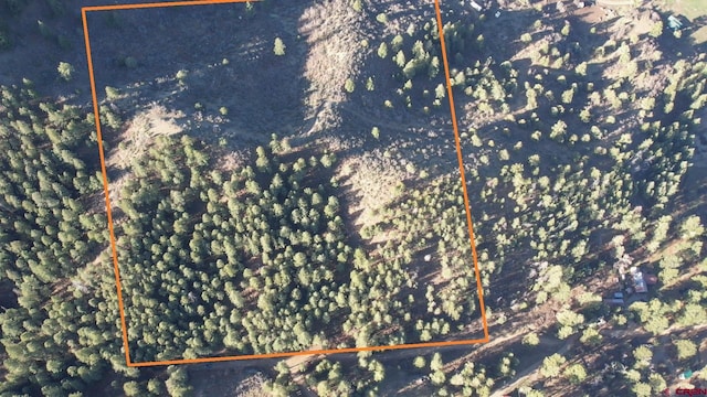 199 Gully Pl, Pagosa Springs, CO 81147
