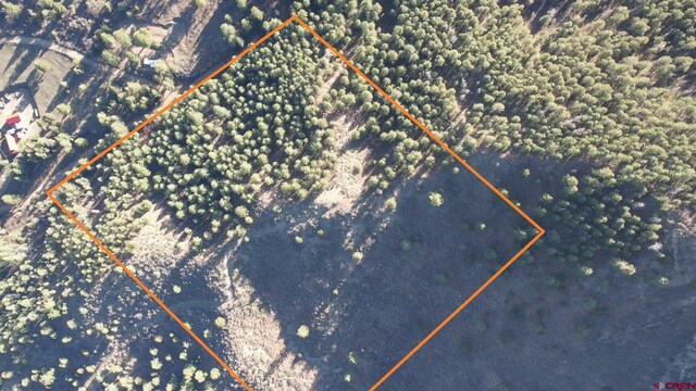 199 Gully Pl, Pagosa Springs, CO 81147