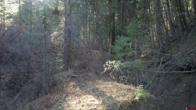 199 Gully Pl, Pagosa Springs, CO 81147