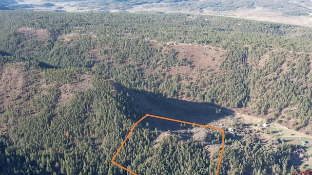 199 Gully Pl, Pagosa Springs, CO 81147