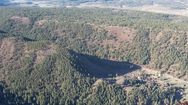 199 Gully Pl, Pagosa Springs, CO 81147