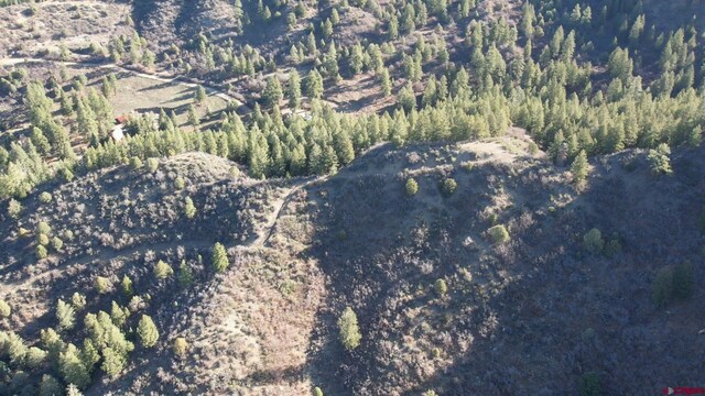 199 Gully Pl, Pagosa Springs, CO 81147