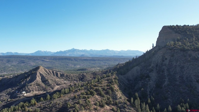 199 Gully Pl, Pagosa Springs, CO 81147