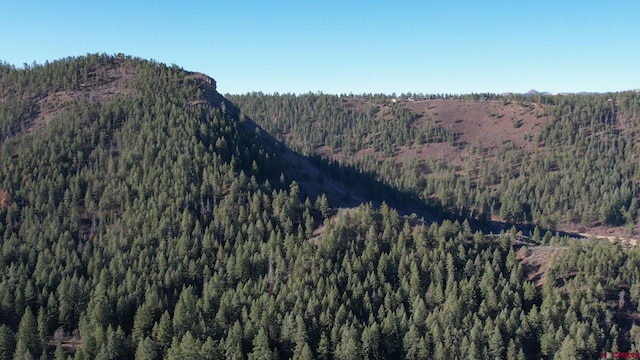 199 Gully Pl, Pagosa Springs, CO 81147