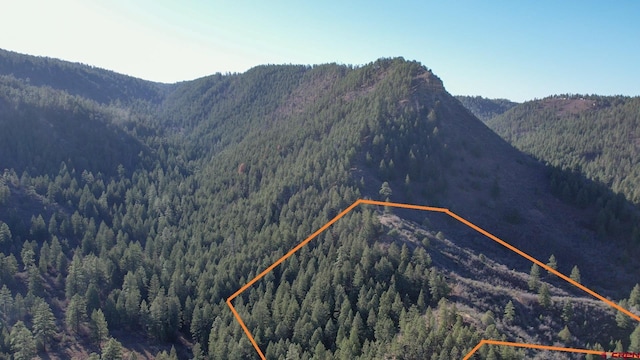 199 Gully Pl, Pagosa Springs, CO 81147