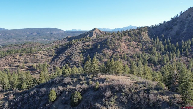 199 Gully Pl, Pagosa Springs, CO 81147