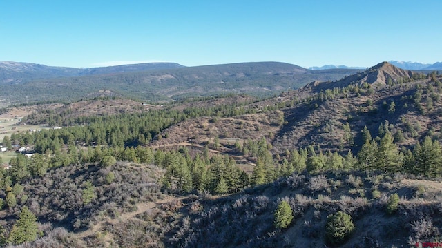 199 Gully Pl, Pagosa Springs, CO 81147