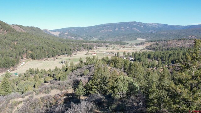199 Gully Pl, Pagosa Springs, CO 81147