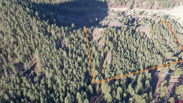 199 Gully Pl, Pagosa Springs, CO 81147