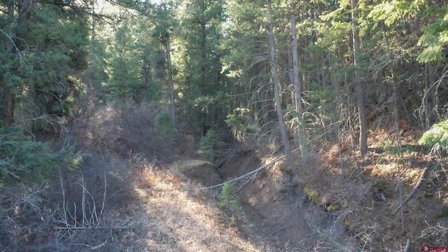 199 Gully Pl, Pagosa Springs, CO 81147