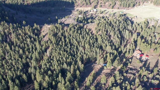 199 Gully Pl, Pagosa Springs, CO 81147