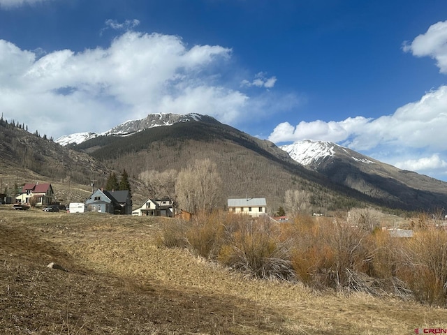 8TH Snowden St, Silverton, CO 81433