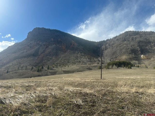 8TH Snowden St, Silverton, CO 81433