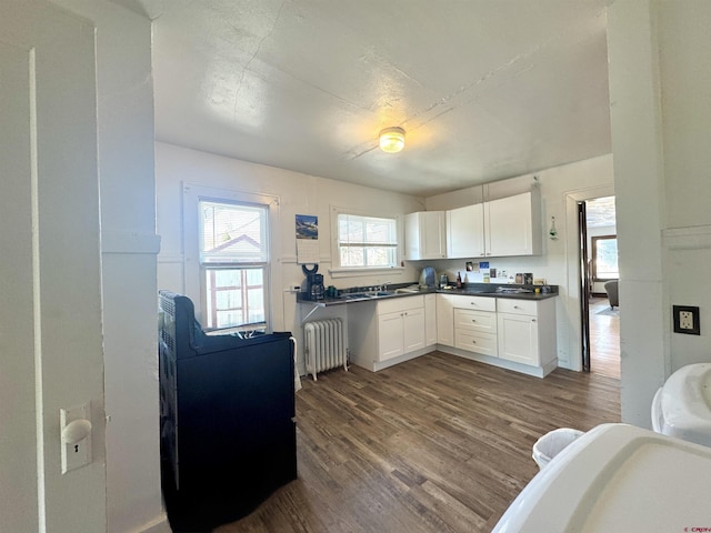 212 Bell Ave, Alamosa, CO 81101 - kitchen with dark wood finished floors, radiator heating unit, dark countertops, a sink, and white cabinetry