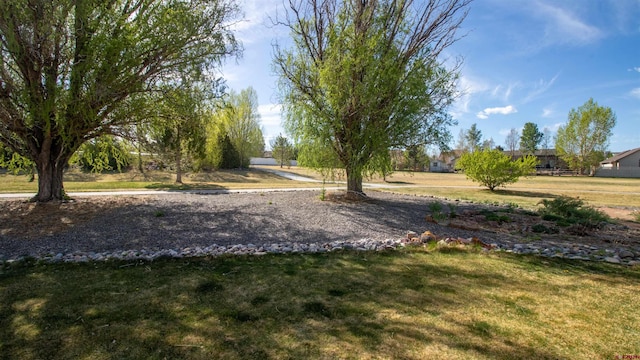 exterior space with a yard