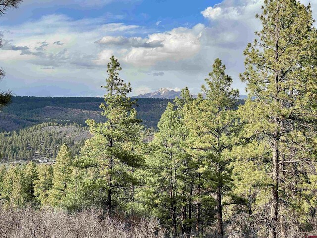 252 Starlight Pl, Pagosa Springs, CO 81147
