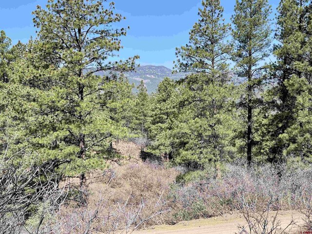 252 Starlight Pl, Pagosa Springs, CO 81147