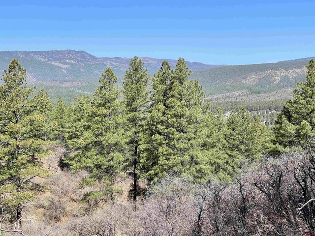 252 Starlight Pl, Pagosa Springs, CO 81147