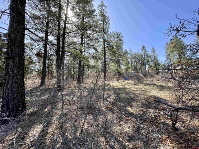 252 Starlight Pl, Pagosa Springs, CO 81147