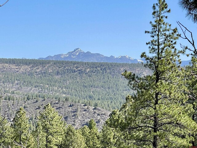 252 Starlight Pl, Pagosa Springs, CO 81147