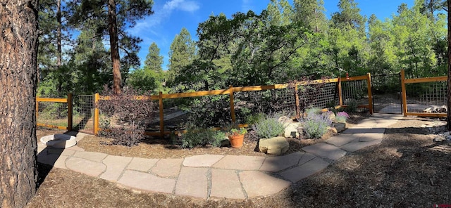 view of yard with fence and a gate