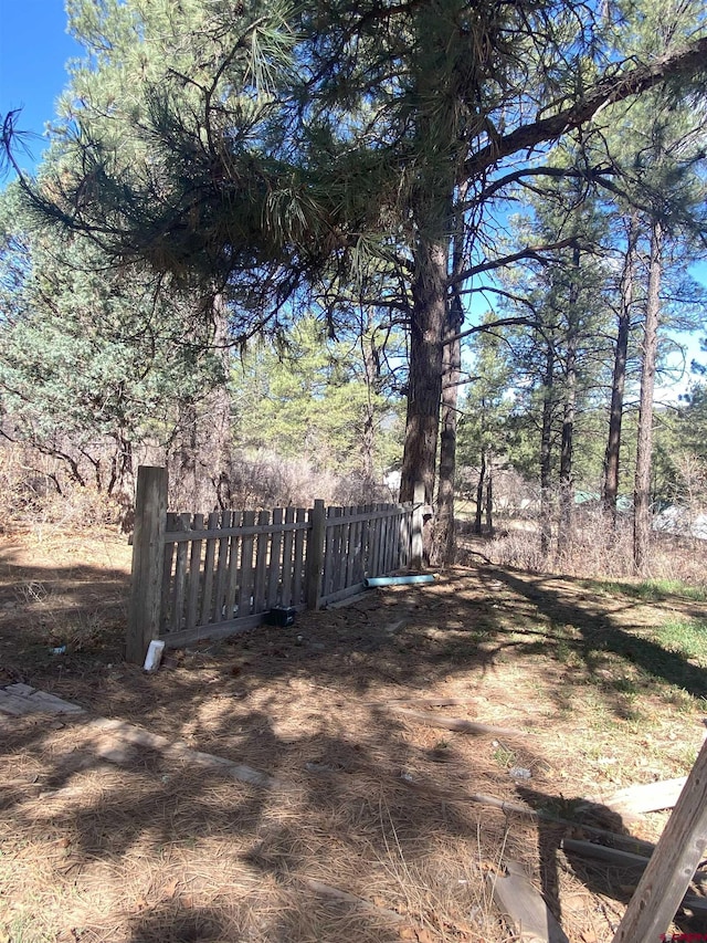 116 Nutria Cir, Pagosa Springs, CO 81147