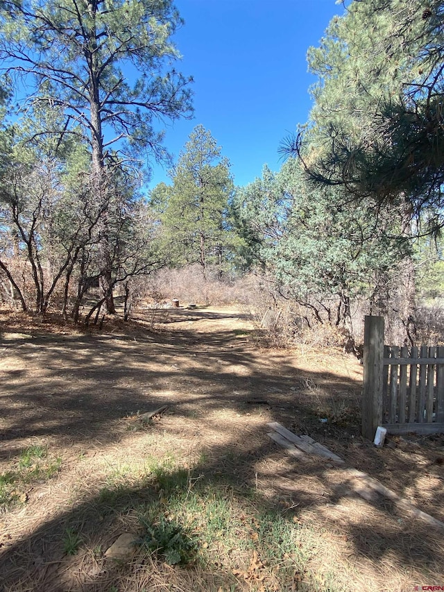116 Nutria Cir, Pagosa Springs, CO 81147