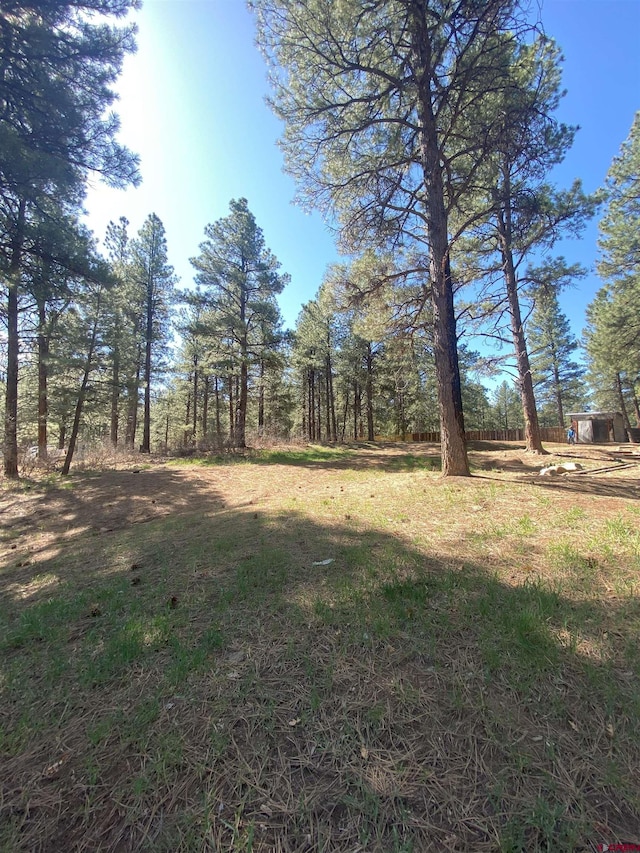 116 Nutria Cir, Pagosa Springs, CO 81147
