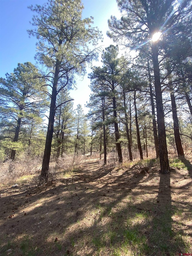 116 Nutria Cir, Pagosa Springs, CO 81147