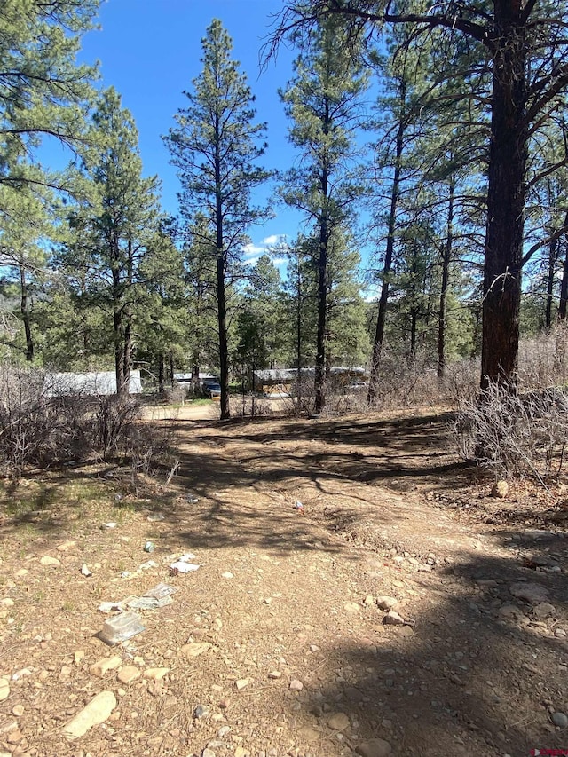 116 Nutria Cir, Pagosa Springs, CO 81147