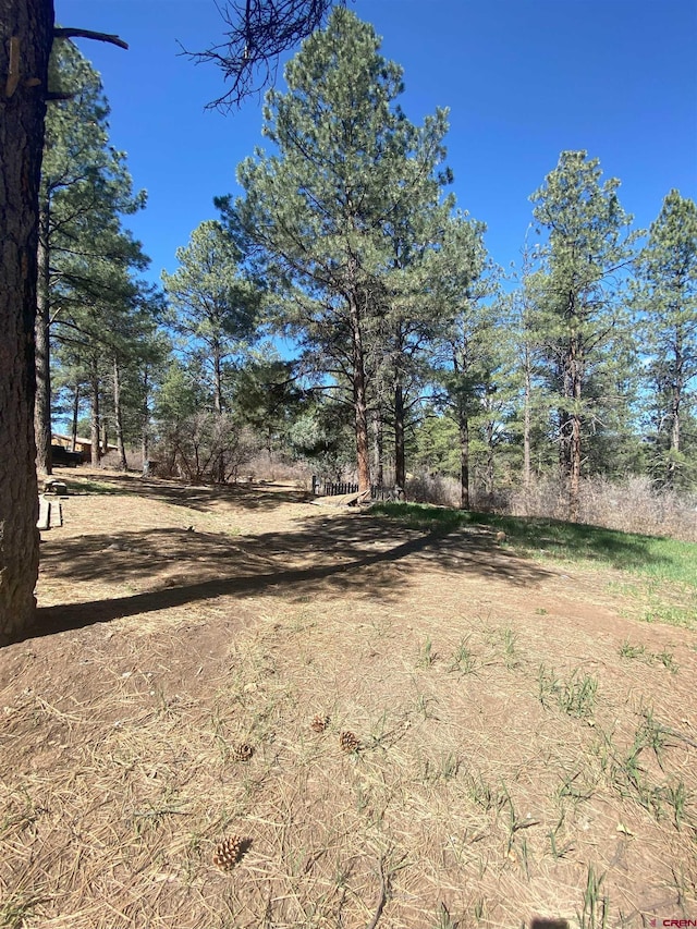 116 Nutria Cir, Pagosa Springs, CO 81147