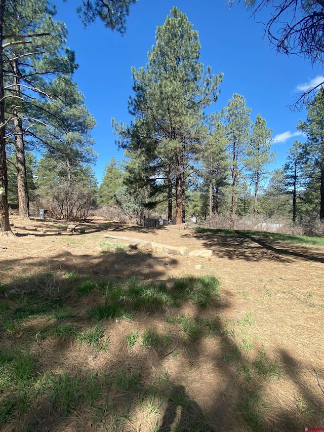 116 Nutria Cir, Pagosa Springs, CO 81147
