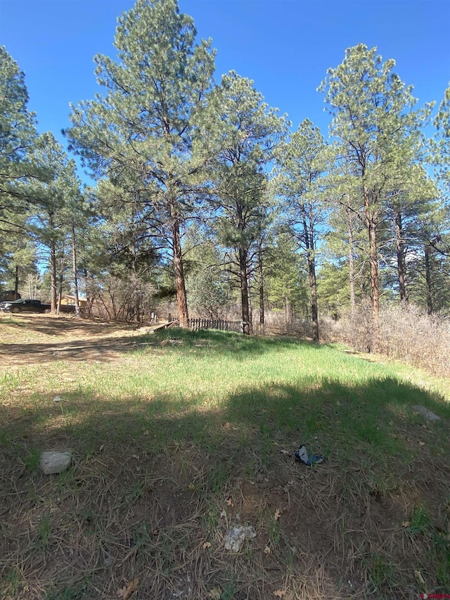 116 Nutria Cir, Pagosa Springs, CO 81147