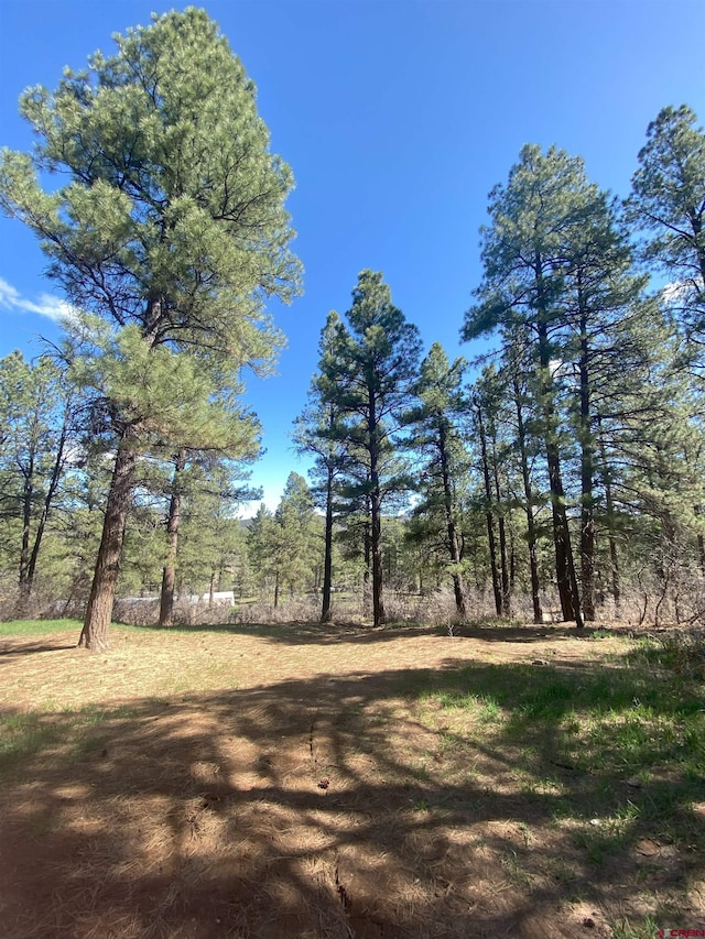 116 Nutria Cir, Pagosa Springs, CO 81147