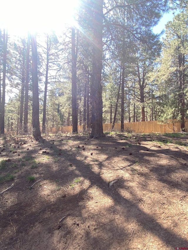 116 Nutria Cir, Pagosa Springs, CO 81147