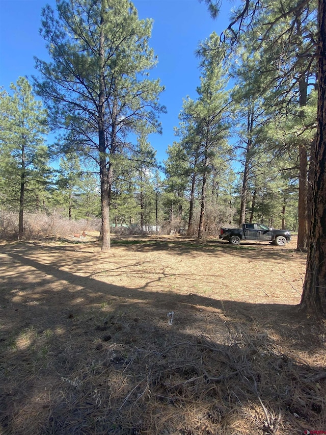 116 Nutria Cir, Pagosa Springs, CO 81147
