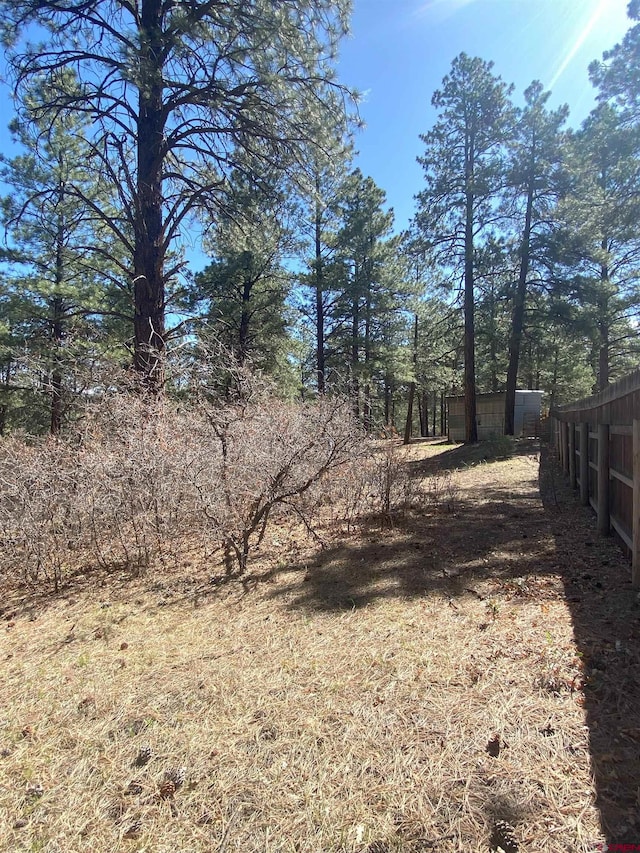 116 Nutria Cir, Pagosa Springs, CO 81147