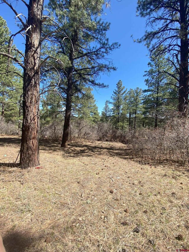 116 Nutria Cir, Pagosa Springs, CO 81147