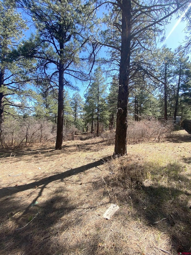 116 Nutria Cir, Pagosa Springs, CO 81147