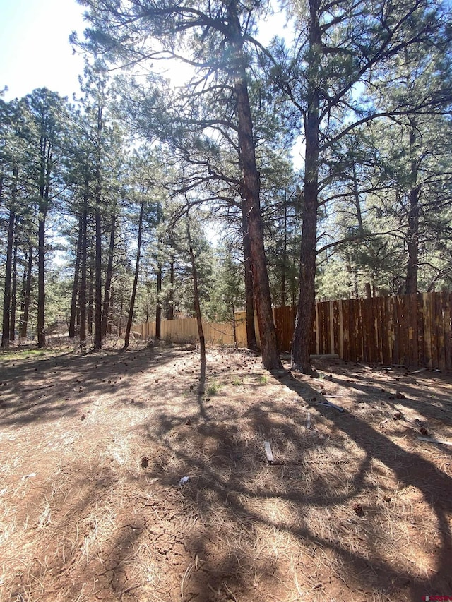 116 Nutria Cir, Pagosa Springs, CO 81147