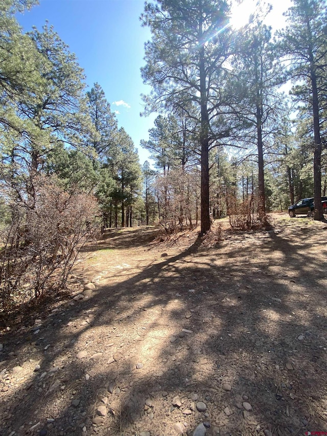 116 Nutria Cir, Pagosa Springs, CO 81147