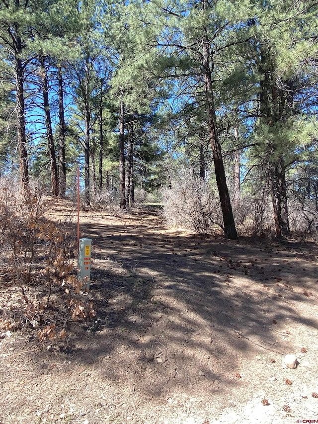 116 Nutria Cir, Pagosa Springs, CO 81147