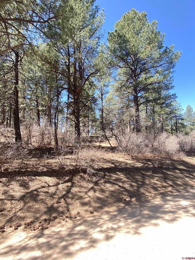 116 Nutria Cir, Pagosa Springs, CO 81147